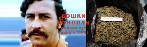 кокаин перу Богданович