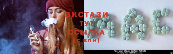 дживик Богородицк