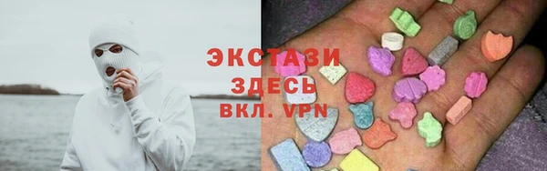 дживик Богородицк